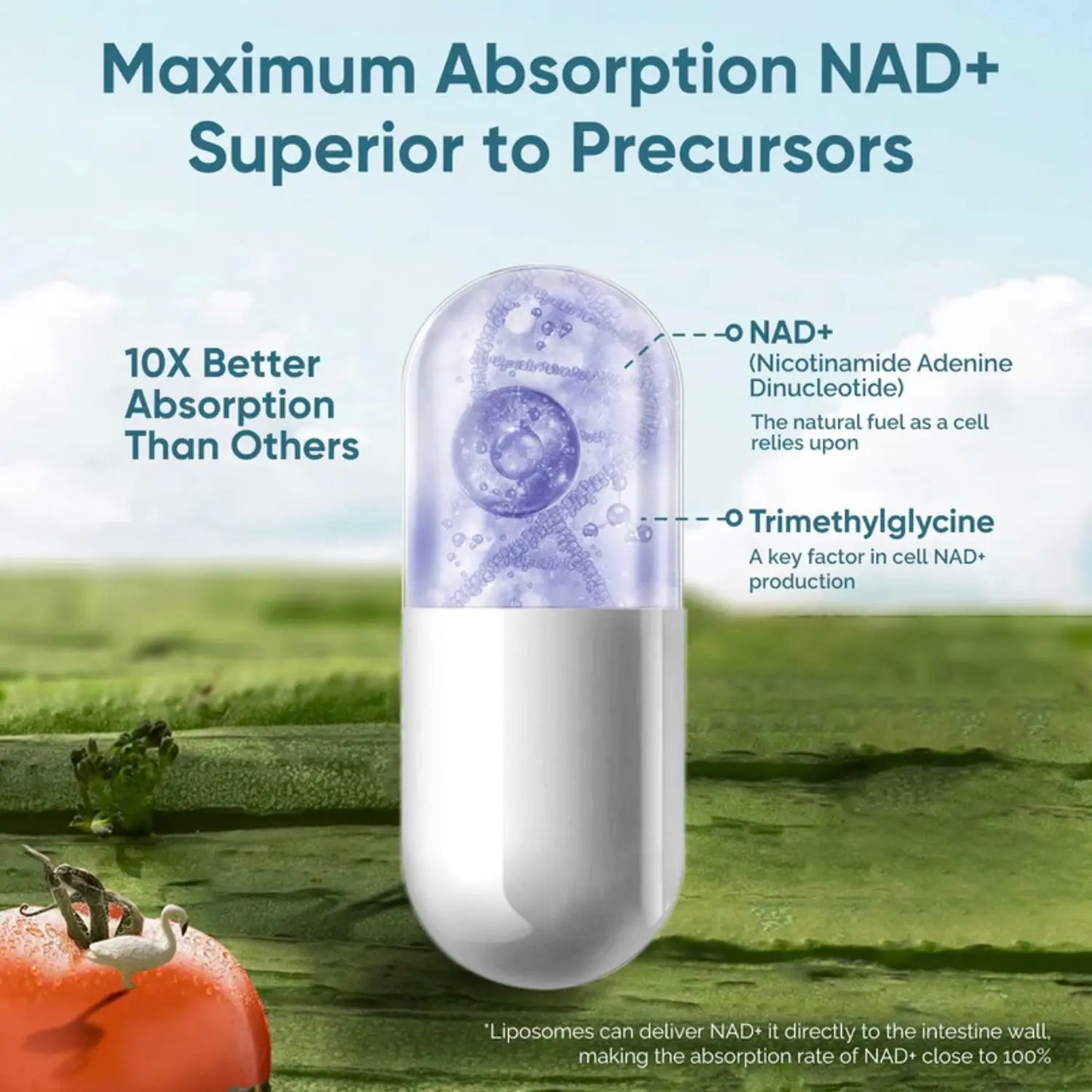 NAD+ RESVERATROL 500MG 60 CAPS ORIGINAL